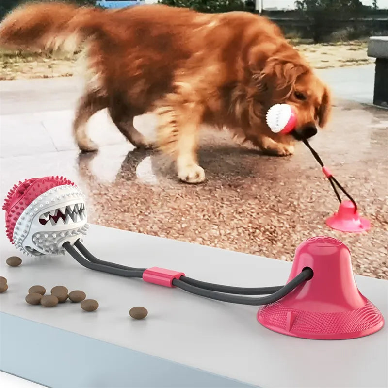 Interactive Suction Dog Toy