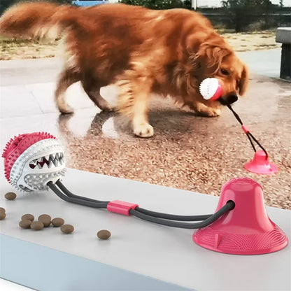 Interactive Suction Dog Toy