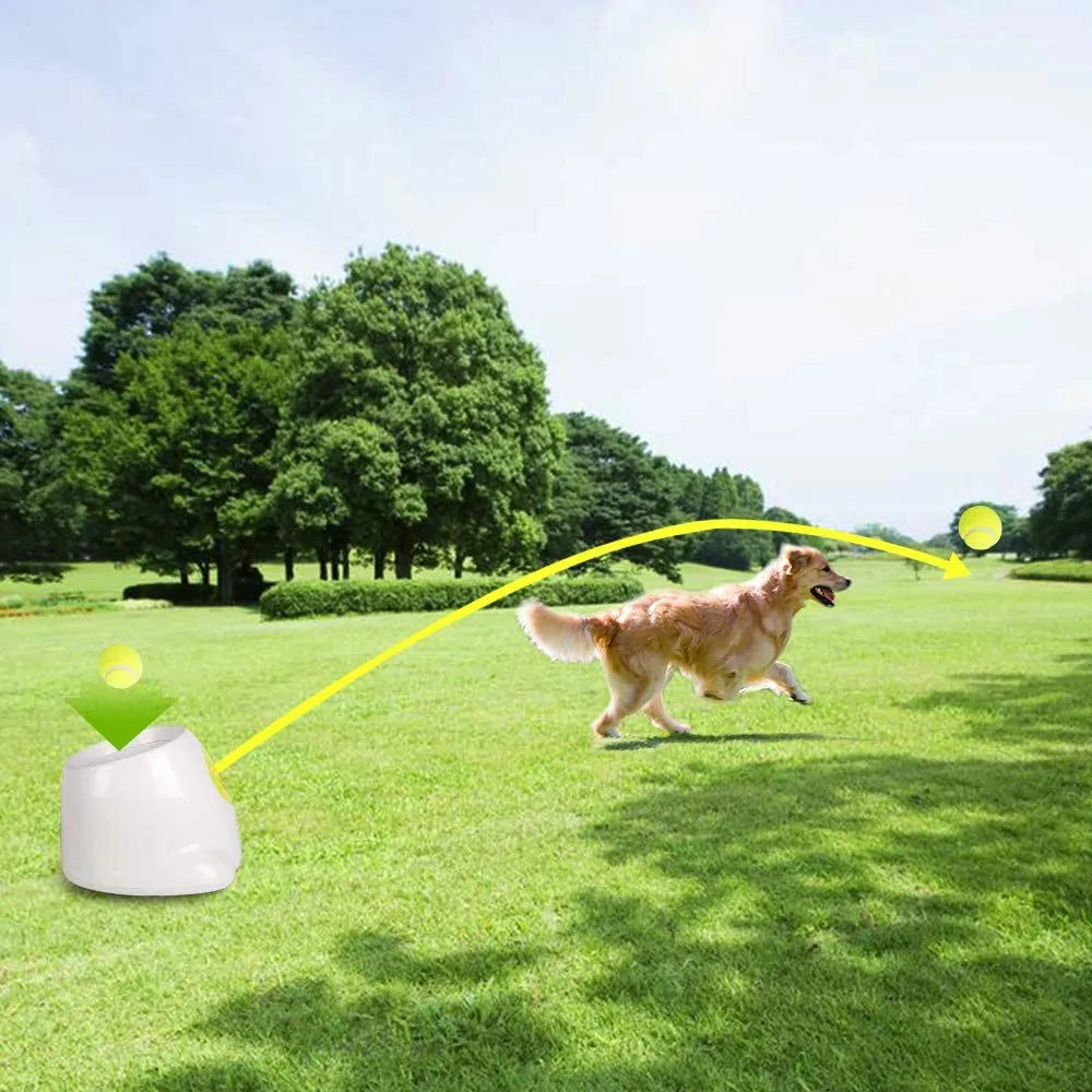 Hyper Fetch Automatic Ball Launcher