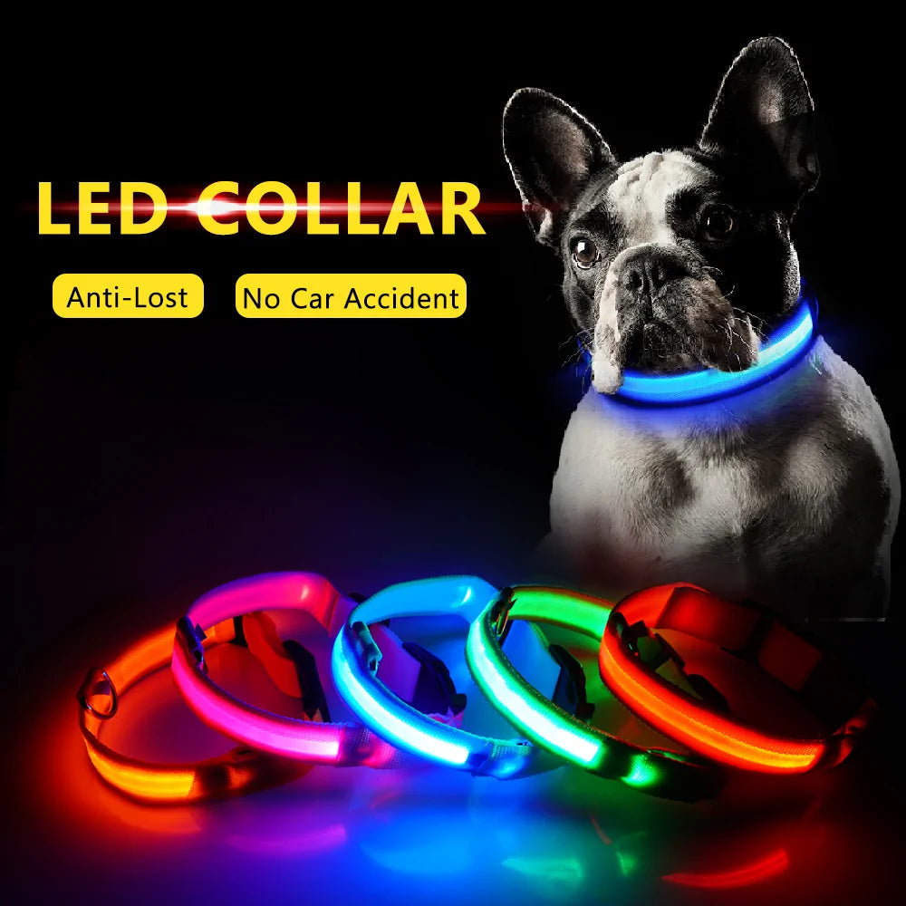 USB Charging LED Dog Collar