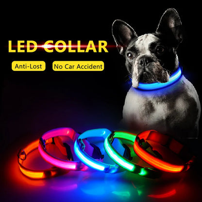 USB Charging LED Dog Collar