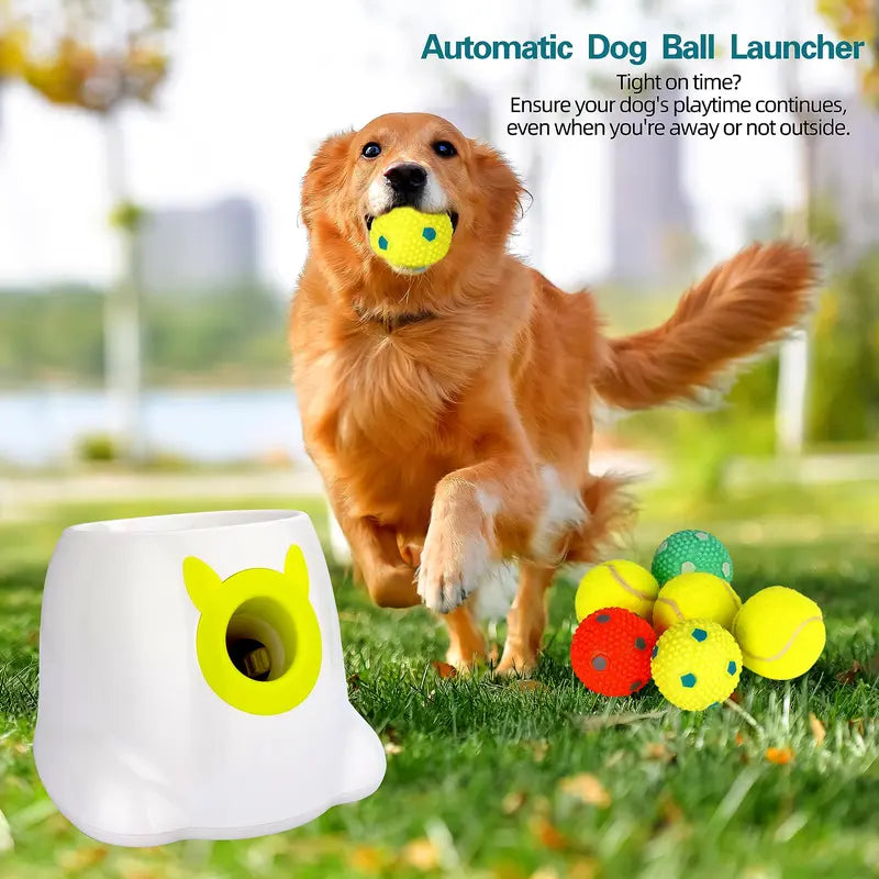 Hyper Fetch Automatic Ball Launcher