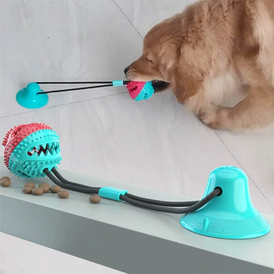 Interactive Suction Dog Toy